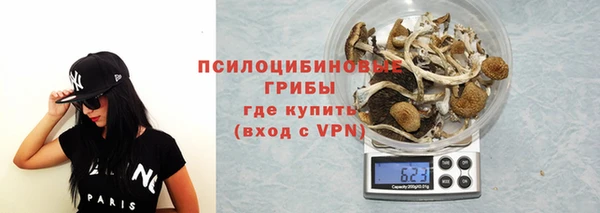 стафф Алексеевка
