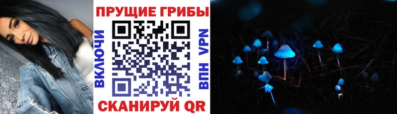Галлюциногенные грибы Psilocybine cubensis  Сибай 